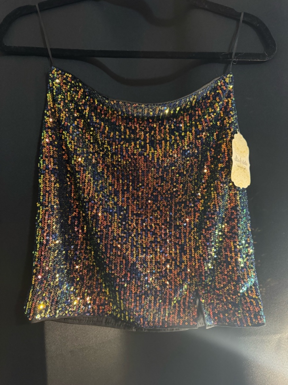 NWT Altard State Skirt
